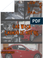 Shawn Lane - Lavado de Autos