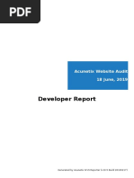 Developer Report