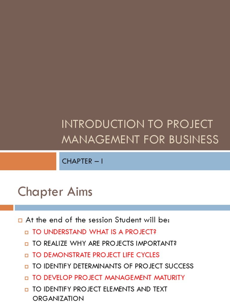 Introduction to Project Management Basics | PDF | Project Management ...
