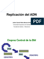 Replicacion DNA