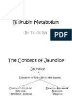 Metabolisme Bilirubin, Albumin Dan Globulin (Dr. Taufiq)