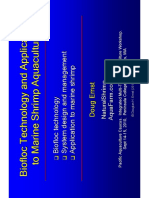 Biofloc Technology Aquaculture Doug Ernst PDF