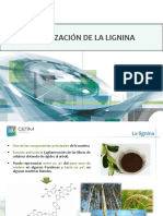 04 Workshop Life Waleva 2017 Valorizacion Lignina PDF