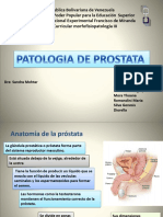 2 Patologias de La Prostata
