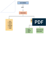 Mapa Conceptual 1