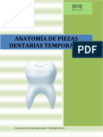 Anatomía de dientes temporales