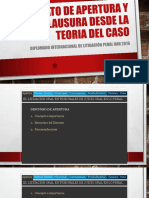 Alegatos de Apertura y Clausura Desde La Perspectiva de La Teoría Del Caso 2016