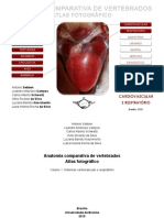 Anatomia_Comparativa_Vertebrados.pdf