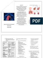 Enfermedad Pulmonar Obstructiva Crónica Folleto