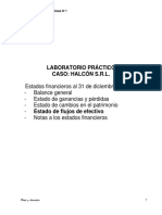 PARA-PROFESIONALES-CPA-NIC-Nº-7.pdf