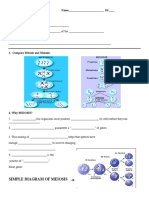 Simple Diagram of Meiosis: UNIT 4 - Mendellian Genetics Name - HR