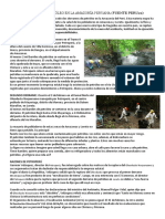 DERRAME DE PETROLEO EN LA AMAZONIA PERUANA