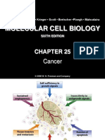 Molecular Cell Biology (Chapter 25 - Cancer)