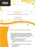 Download Executive Information System by Adi Nur SN42078851 doc pdf