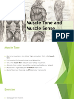 m5 Musle Tone and Muscle Sense