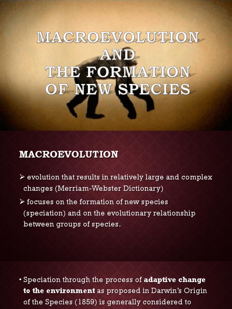 Macroevolution and The Formation of New Species PDF