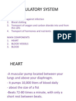 Circulatory System