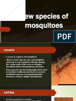 New Species of Mosquitoes: This Photo CC By-Nd