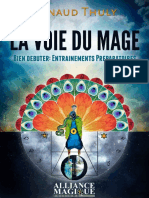 La Voie Du Mage - Bien Debuter - Arnaud Thuly
