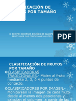 CLASIFICACION_DE_FRUTOS_POR_TAMANO.pdf