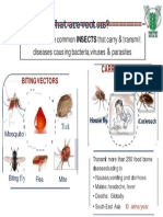 Image of Vector Diseases