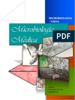 Informe Microbiologia QUINTO SEGMENTO VIRUS