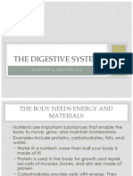 The Digestive System: Chapter 2, Section 2.2