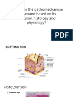 Explain The Pathomechanism of A Wound Based On Its Anatomy, Histology and Physiology?