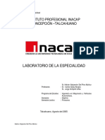 285796382-Apunte-Lab-Especialidad.pdf