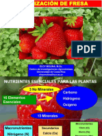 FERTILIZACION DE FRESAS 2018.pdf