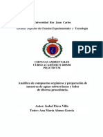 Memoria Practicum PDF