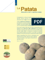 Patata origen cultivo