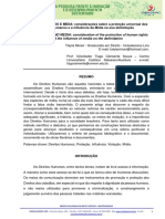 mídia e direitos humanos artigo.pdf