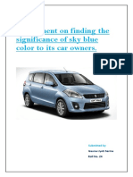 Assignment On Finding The Significance of Sky Blue Color To Its Car Owners
