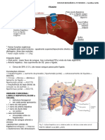 Bioquímica Do Fígado, Renal e Neurotransmissores