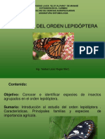 Clase Orden Lepidoptera-1531175603