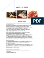 Cultivo Carpa2 PDF