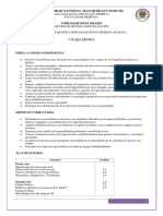 Ciruga_plstica.pdf