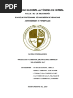MAIZ AMARILLA.docx