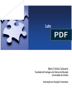 LutoDiagnModelos.pdf