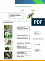 Guia de Trabajo - Dispersion de Semillas