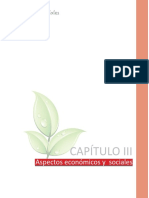 Aspectos Economicos y Sociales PDF