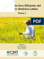 Producción Eco-Eficiente del Arroz en América Latina.pdf