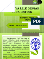 Budidaya Lele Sistem Bioflok