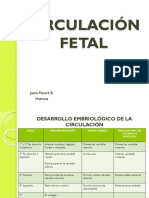 Circulación Fetal