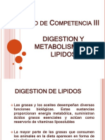 41084217-Digestion-de-Lipidos.pptx