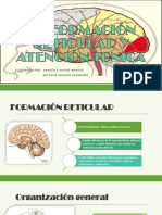 La Formacin Reticular y El Sistema Lmbico1 150603045559 Lva1 App6891 1 Neuro 1007