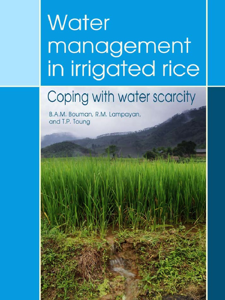 Water Management in Irrigated Rice: Coping With Water Scarcity | PDF ...