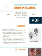 Parasitosis Intestinal en Niños