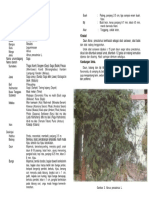 1 002 Saga PDF